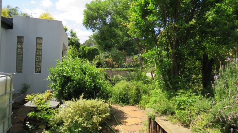 Jedidja Luxurious Bed and Breakfast Accommodation in Bloemfontein  